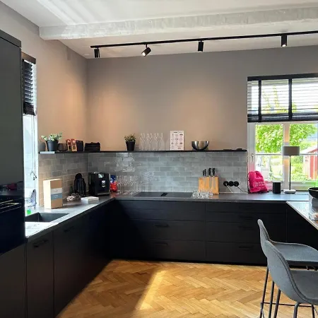 Strandhueues, 2 Strandlaeufer * Großenbrode